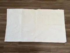 Item thumbnail for item e8ec31e1-86f8-4a11-8a65-f99ff3b1d572