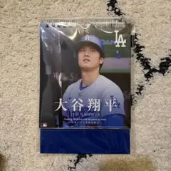 오타니 쇼헤이 데이 캘린더
