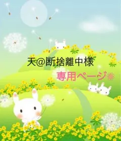 天@断捨離中様専用ページ❁⃘*.゜