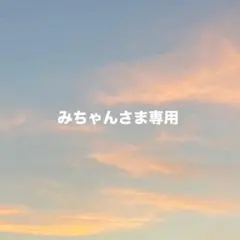 みちゃんさま専用