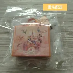 東京ディズニーランド　40周年限定　カプセルトイ