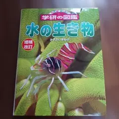 Item thumbnail for item 13d64db9-7051-4bad-b00f-929f8ff5be10