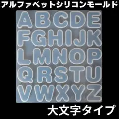 こっちゃん様 リクエスト 2点 まとめ商品
