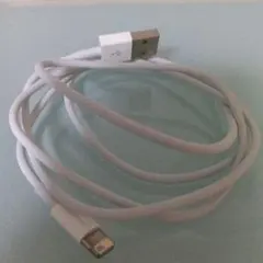 Lightningケーブル USB Type-A ホワイト