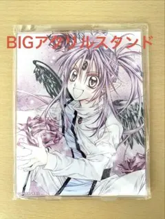 種村有菜 アニメイトカフェ ウエディングカード 神風怪盗ジャンヌ