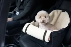 Item thumbnail for item 377fe7ab-224a-4416-9552-52e05349ea89