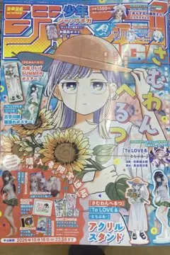希少]ケータイ少年ジャンプ 2006年 カレンダーカード 11月12月 非売品