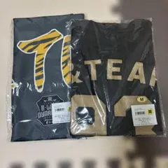 Item thumbnail for item 3769fba6-69d4-4f14-925e-2434b19c4ea0