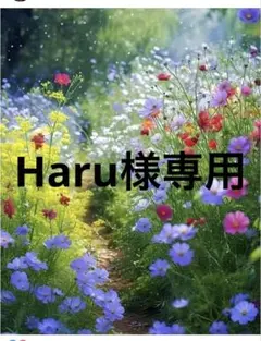 haru様専用