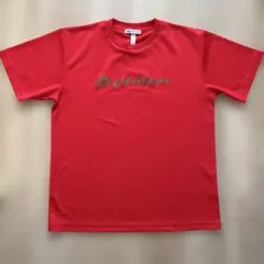 Item thumbnail for item 13aa0a2d-4e7c-483f-9111-90d932322f2b