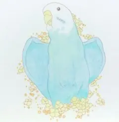 セキセイインコ 色鉛筆画 原画 - メルカリ