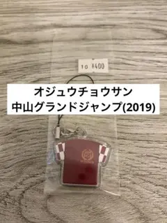 競馬　オジュウチョウサン　中山グランドジャンプ　2019年　勝負服ストラップ