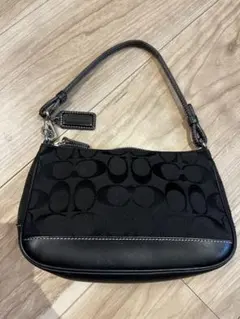 COACH アクセサリーポーチ ワンショルダーバック 6094 シグネチャー