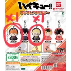 ハイキュー‼︎ めじるしアクセサリー　日向翔陽　月島蛍