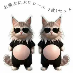 おなか ぷにぷにシール 2枚set サングラス 猫 立体 ステッカー スクイーズ