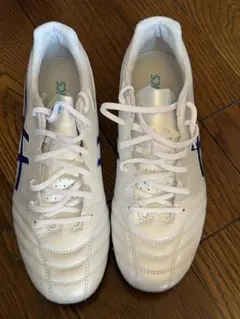 asics アシックス DS LIGHT PRO 26.5