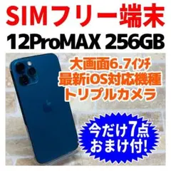 SIMフリー iPhone12ProMAX 256GB 1377 バッテリー新品