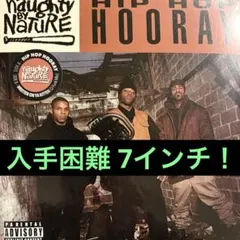 2025年最新】naughty by nature レコードの人気アイテム - メルカリ