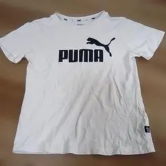 PUMA　白の半袖Tシャツ　140センチ