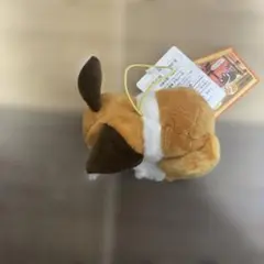 犬のぬいぐるみ タグ付き