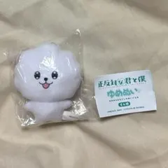 正反対な君と僕 ゆめぬい イエティ