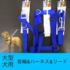 Item thumbnail for item 0b931817-ca16-499d-b82d-354007558641