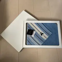 ストライプデザイン タオルハンカチ