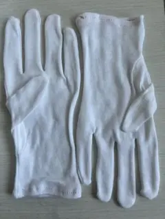 Item thumbnail for item 4fc743c9-a700-4b4f-9706-4c92e37a7f3f