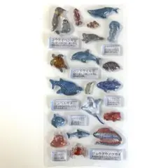 大人の図鑑シール 3D海洋生物 NO.290