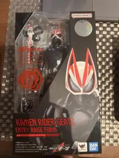 KAMEN RIDER GEATS ENTRY RAISE FORM
