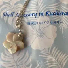 夜光貝　花のチャームネックレス