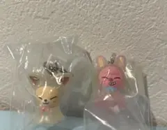 スキズ SKZOO めじるしアクセサリー トゥエッキ　フォクシニー　パンクルズ