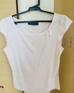 レディース　エムズグレーシー　Tシャツ