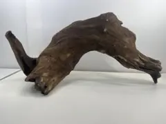 Item thumbnail for item 56569dff-2fbd-48ef-86d2-b5f920e24b22