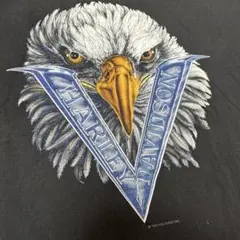 Item thumbnail for item 251ecc53-73de-4e6b-b135-c2e0ae0ea51c