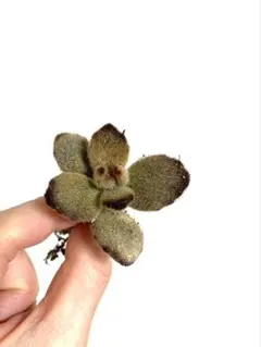 Gat様 リクエスト 2点 まとめ商品