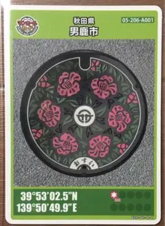 Syokan様 リクエスト 2点 まとめ商品