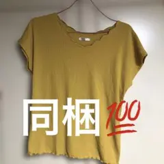 COLZA マスタード色 Sサイズ Tシャツ