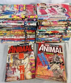 k*s様 ヤングアニマル 31冊 創刊有り　ベルセルク 三浦建太郎 ジャパン 新 2026年最新】ベルセルク 31 (ヤングアニマルコミックス) 三浦建太郎の