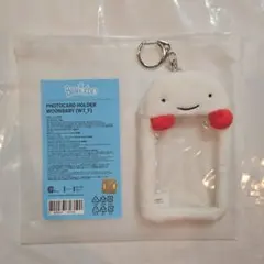 bbnexdo プネクド　ボネクド　ウナク　ウンアギ　フォトカードホルダー　②