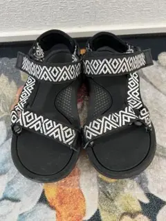 Item thumbnail for item a4bf6047-4c8a-418a-9f6c-6d76d46700c4