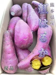 熊本県産　紅はるか　優品　5kg