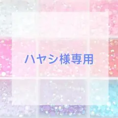 ハヤシ様専用ページ