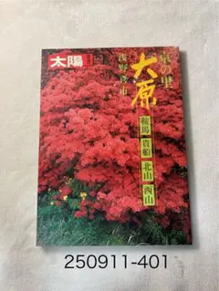 2025年最新】大原 サインの人気アイテム - メルカリ