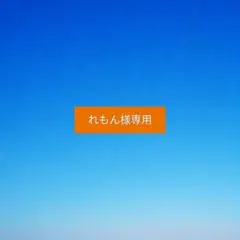 （れもん様専用）ポケモンフレンダ　スーパートレジャー　セット