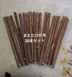 山形県産　またたびの木　20本セットのサムネイル