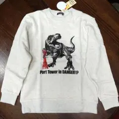 Item thumbnail for item cf024921-72b3-4b38-ba09-60510cffda63