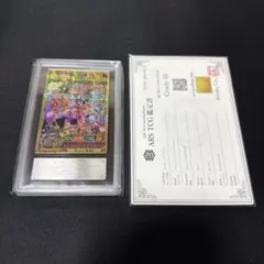 【ARS10】モンキー・D・ルフィ IC-PJ13 ワンピースカード