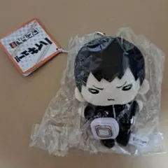 影山飛雄 にとたん まとめ売り可能 ぬいぐるみ ハイキュー!! ちょこんぐるみ ギュっとホルダー 影山飛雄 – FAN+Life