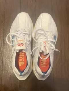 ナイキ　ペガサスターボ　ネクストネイチャー　26.0cmのサムネイル